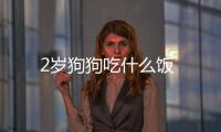 2歲狗狗吃什么飯