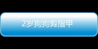 2歲狗狗剪指甲