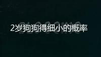 2歲狗狗得細(xì)小的概率