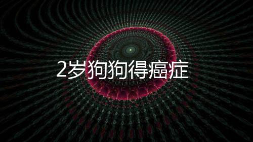 2歲狗狗得癌癥