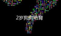 2歲狗狗絕育