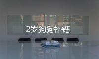 2歲狗狗補鈣