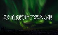 2歲的狗狗吐了怎么辦啊