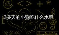 2多天的小狗吃什么水果