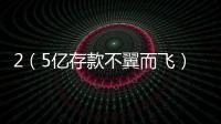 2（5億存款不翼而飛）