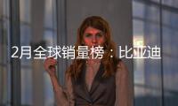 2月全球銷量榜：比亞迪再奪冠 吉利首上榜