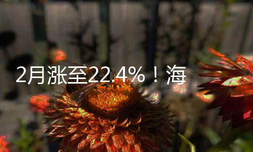 2月漲至22.4%！海爾空調高增長原因：健康、高端