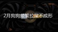 2月狗狗頻繁拉屎不成形