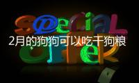 2月的狗狗可以吃干狗糧嗎