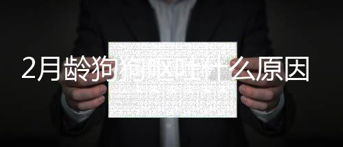 2月齡狗狗嘔吐什么原因