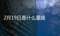 2月19日是什么星座  陽歷2月19號是什么星座