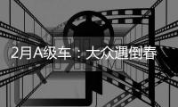 2月A級車：大眾遇倒春寒 自主份額提升