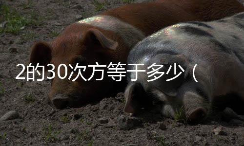 2的30次方等于多少（2的3次方等于多少）