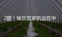 2艘！埃及國家航運在中國船廠下單散貨船