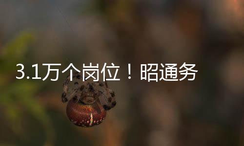 3.1萬個崗位！昭通務工人員請注意，廣東、浙江、福建多省在等你