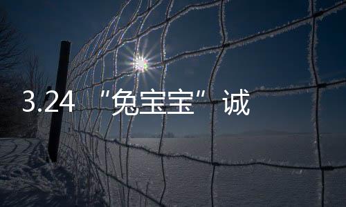 3.24 “兔寶寶”誠邀您相約2021年上海地材展【展位號：E2D15/2】