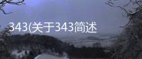 343(關于343簡述)