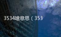 3534啥意思（3539是什么意思）