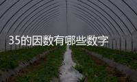 35的因數(shù)有哪些數(shù)字 35的因數(shù)有哪些