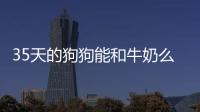 35天的狗狗能和牛奶么