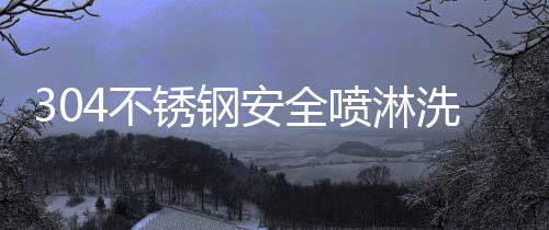 304不銹鋼安全噴淋洗眼器