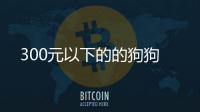 300元以下的的狗狗