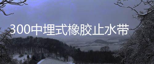 300中埋式橡膠止水帶經(jīng)濟型