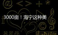 3000畝！海寧這種美味上市啦！好多人就好這一口！價格→