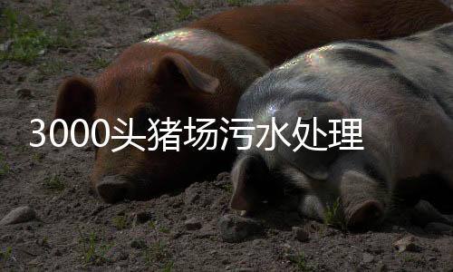 3000頭豬場污水處理設(shè)計方案