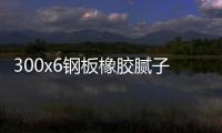 300x6鋼板橡膠膩子止水帶價格標準