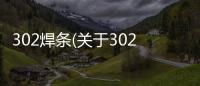 302焊條(關于302焊條簡述)