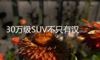 30萬級SUV不只有漢蘭達 這3款進口車不要錯過