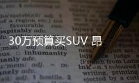 30萬預算買SUV 昂科旗和漢蘭達如何挑選？