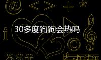 30多度狗狗會熱嗎