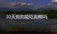 30天狗狗能吃狗糧嗎