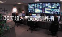 30天超人氣狗狗馴養指南