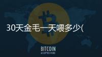 30天金毛一天喂多少(30天的金毛一次吃多少狗糧)