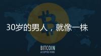 30歲的男人，就像一株蒲公英