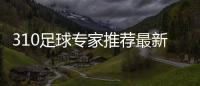 310足球?qū)＜彝扑]最新足球資訊足球小將今日足球比賽分析