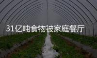 31億噸食物被家庭餐廳以及食品服務和零售行業浪費掉