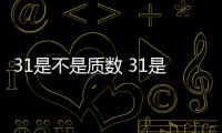 31是不是質數 31是質數嗎