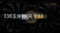 338玉米種(關于338玉米種簡述)
