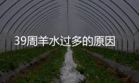 39周羊水過多的原因
