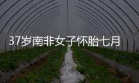 37歲南非女子懷胎七月生下十胞胎引發關注