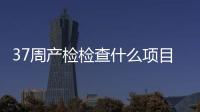 37周產(chǎn)檢檢查什么項目