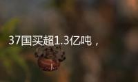37國買超1.3億噸，澳洲煤炭找到接盤俠？背后耍了一個“小花招”