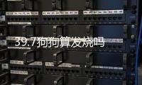 39.7狗狗算發燒嗎