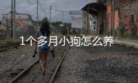 1個多月小狗怎么養