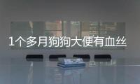 1個多月狗狗大便有血絲怎么回事