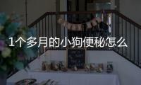 1個(gè)多月的小狗便秘怎么辦